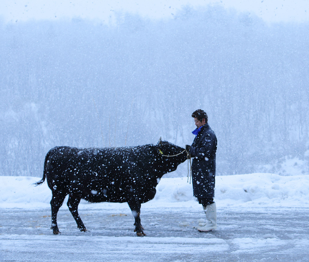 雪降り和牛とは？